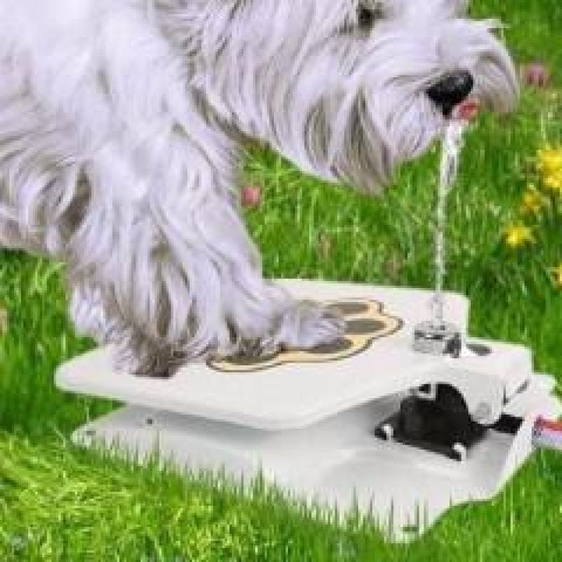 Dog Water Fountain - dilutee.com
