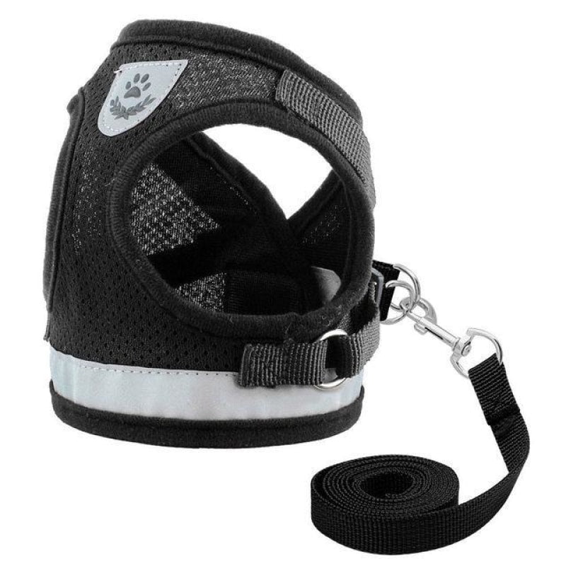 Reflecting Harness & Leash Set for Cats/Small Dogs - dilutee.com
