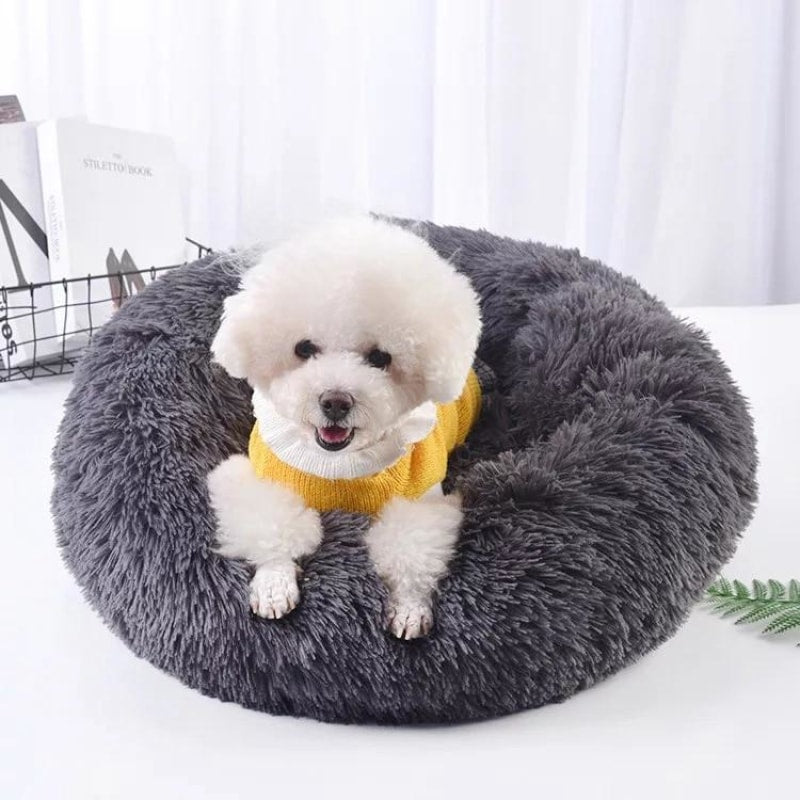 Round Bed House for Pets - dilutee.com