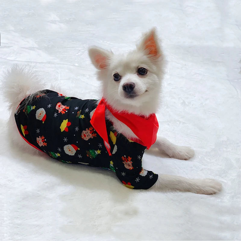 Matching Family Christmas PJs