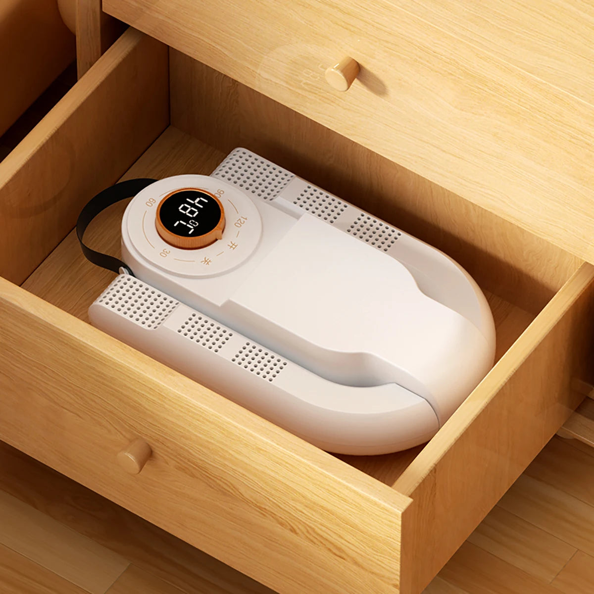 Electric Shoe Warmer