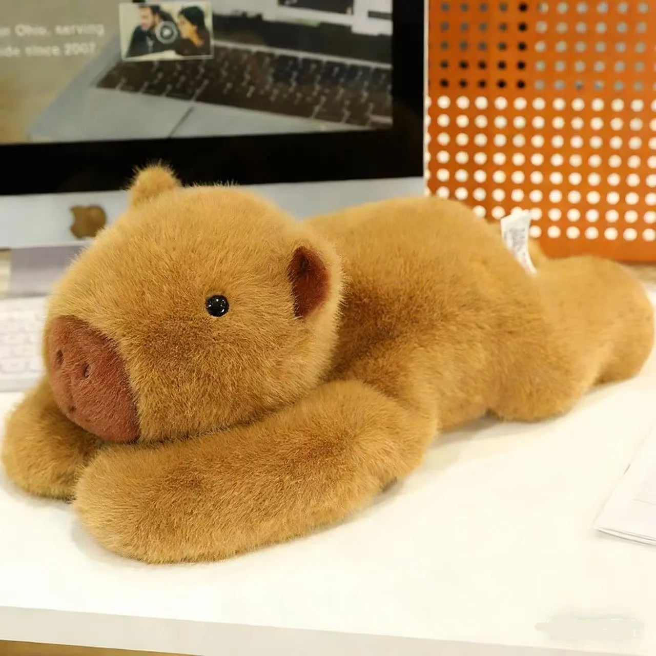Capybara long-arm plush pillow lying on a desk in front of a computer