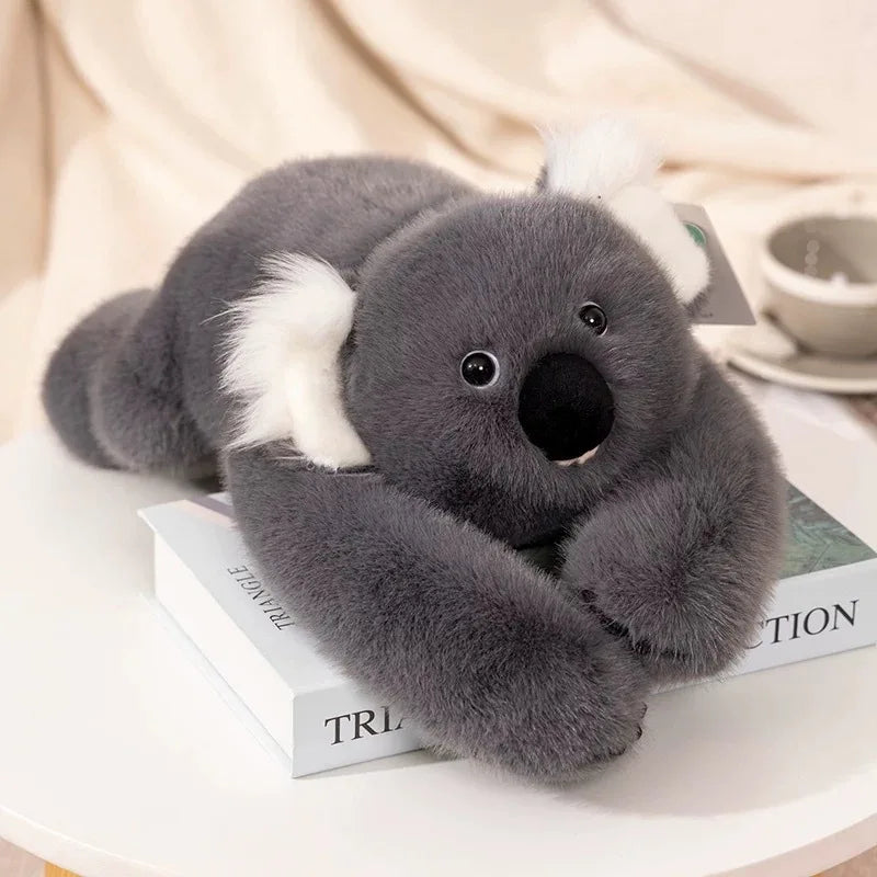 Dark grey fluffy koala plush hugging pillow resting its long arms over a book