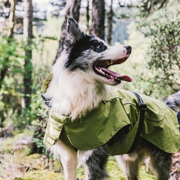 Small Waterproof Coats for Dogs
