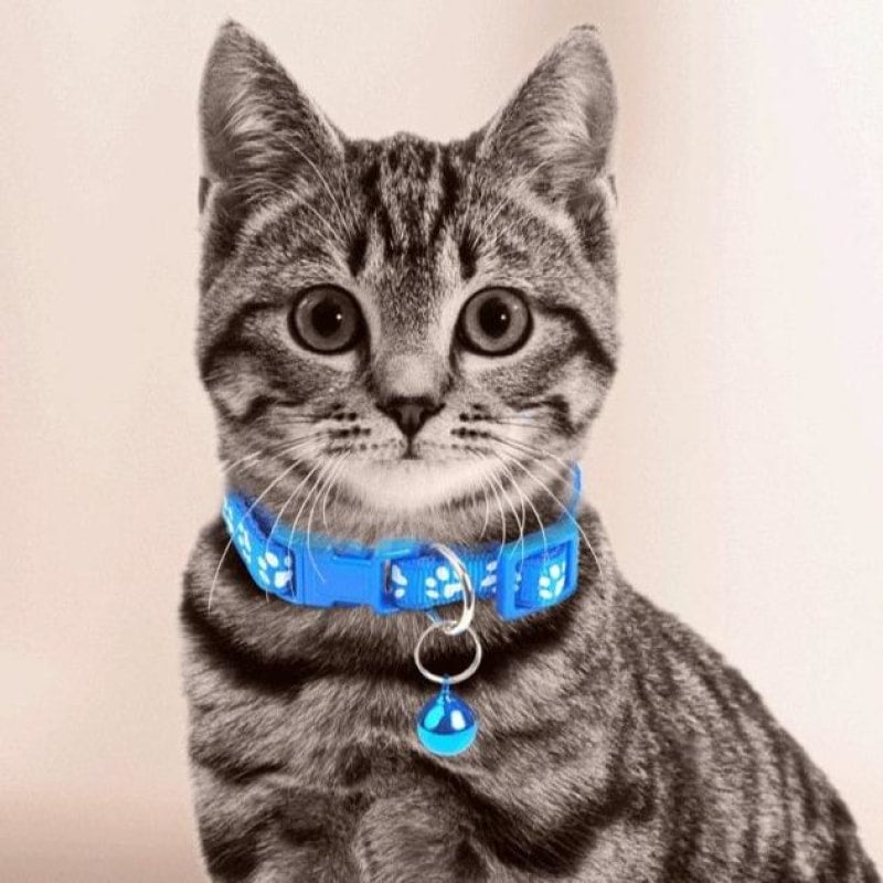Cute Bell Collar For Pets - dilutee.com