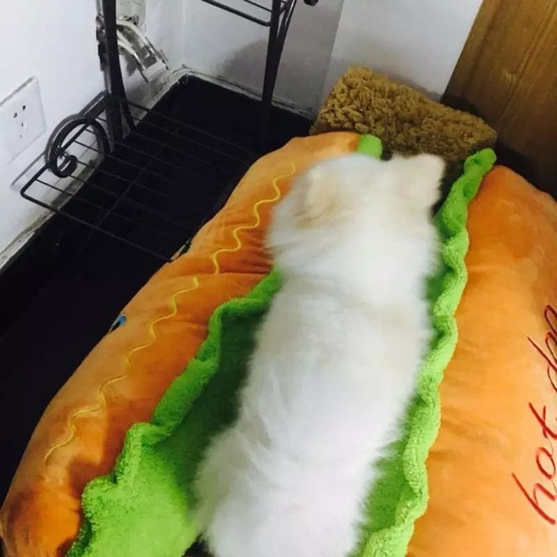 Hot Dog Pet Bed - dilutee.com