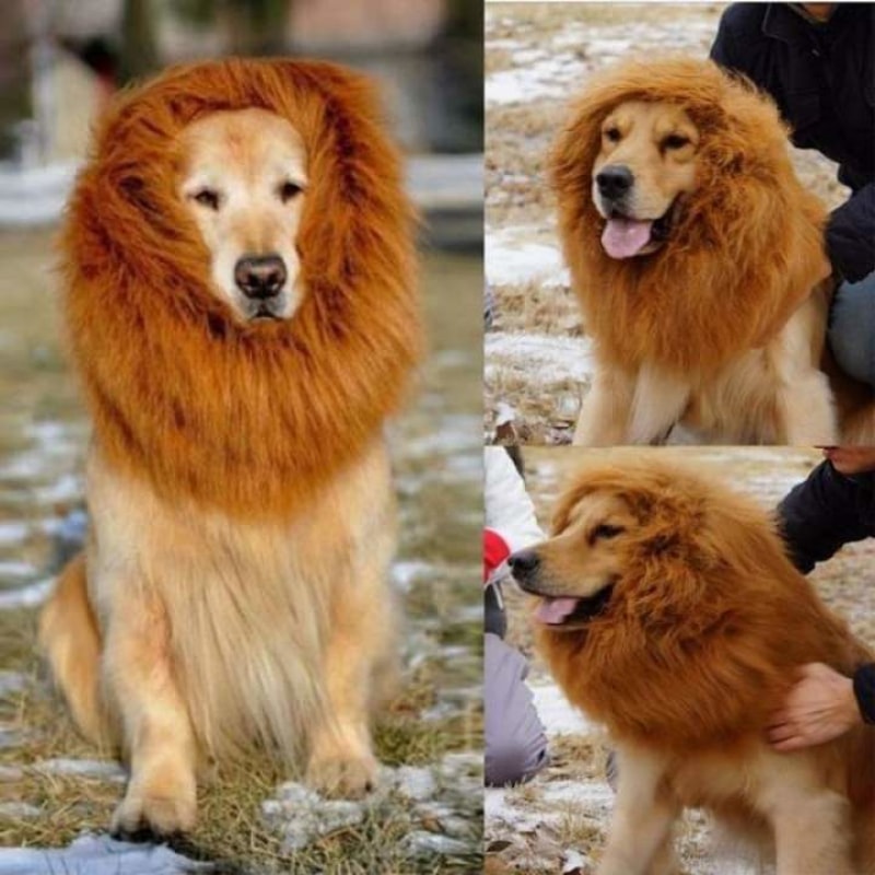Majestic Dog's Lion Mane Costume