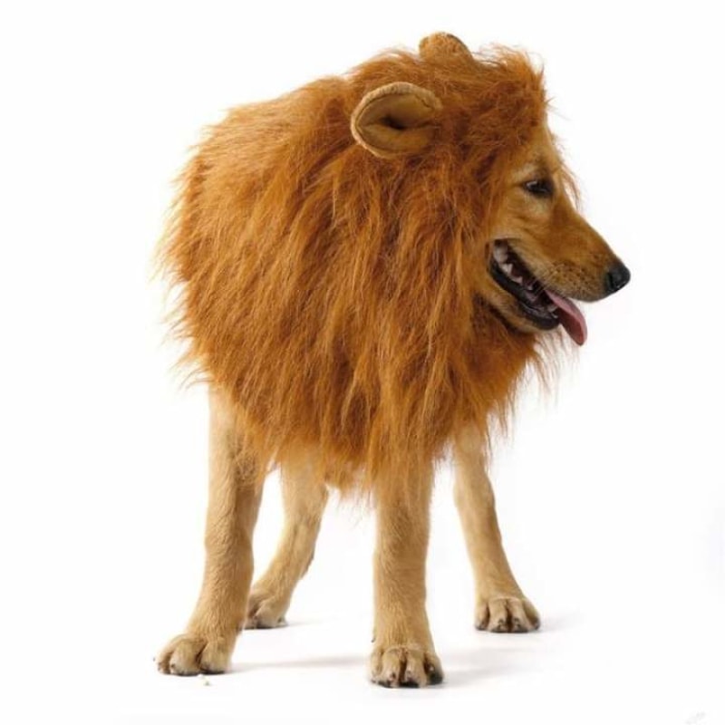 Majestic Dog’s Lion Mane Costume - dilutee.com