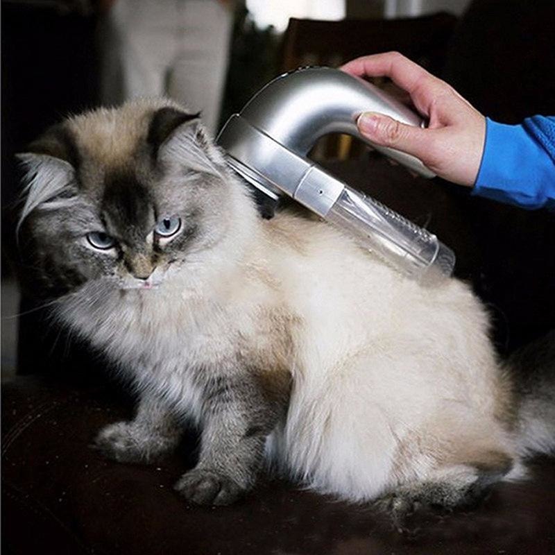 Pet Vacuum Cleaner - dilutee.com