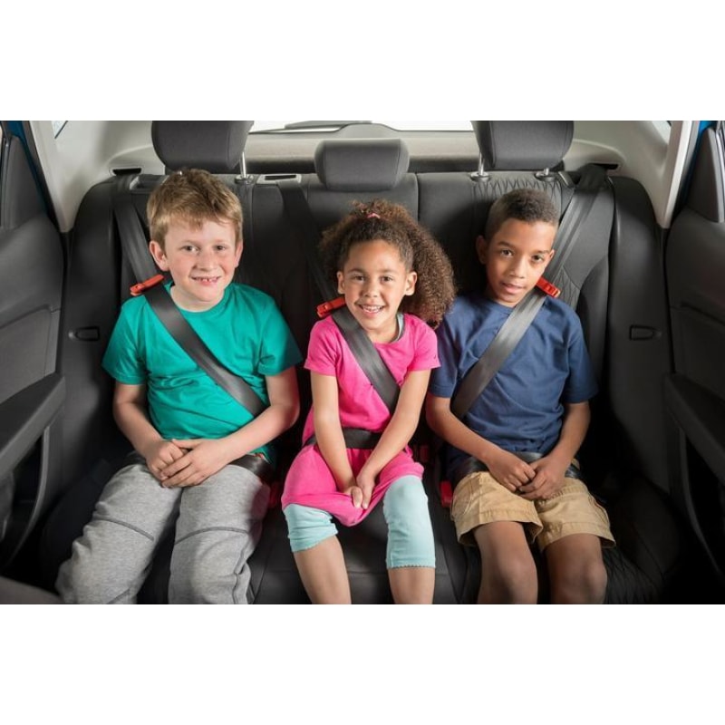 Portable Child Safety Seat