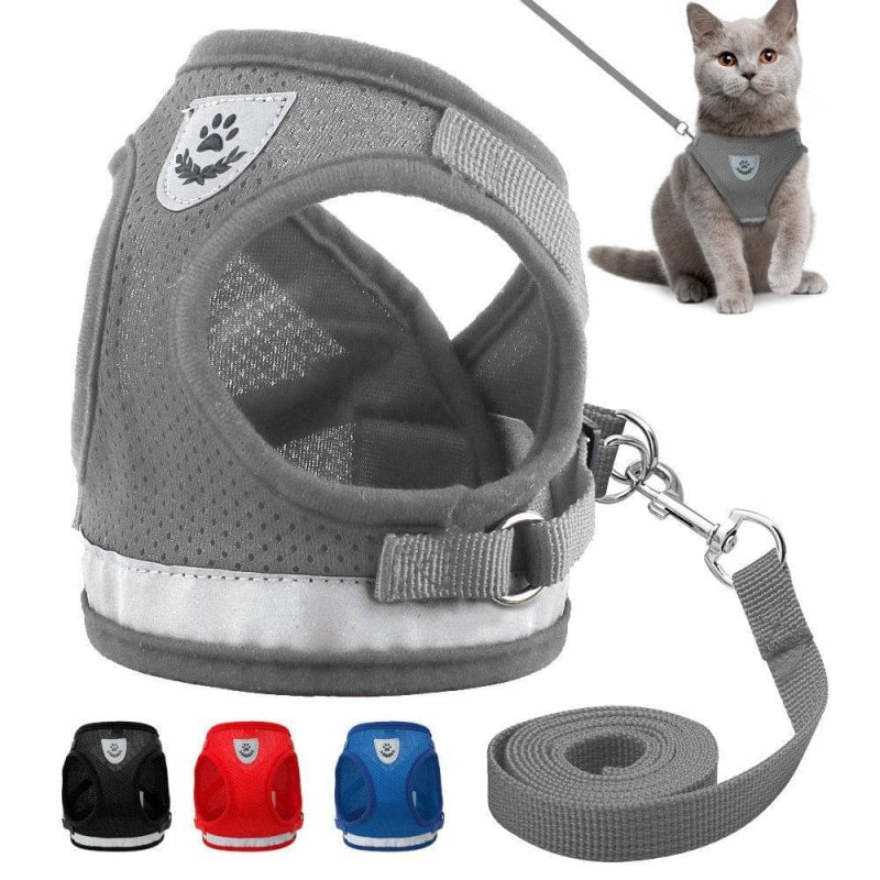 Reflecting Harness & Leash Set for Cats/Small Dogs