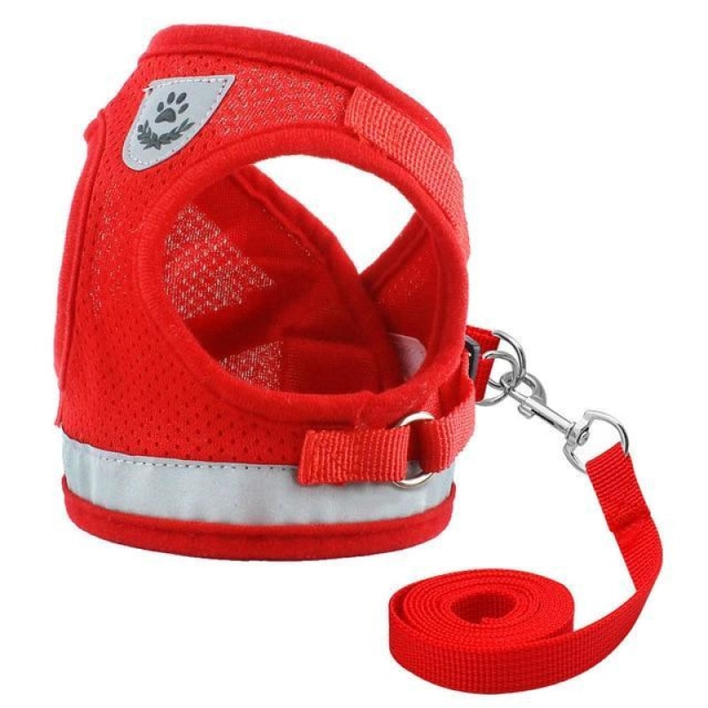 Reflecting Harness & Leash Set for Cats/Small Dogs - dilutee.com