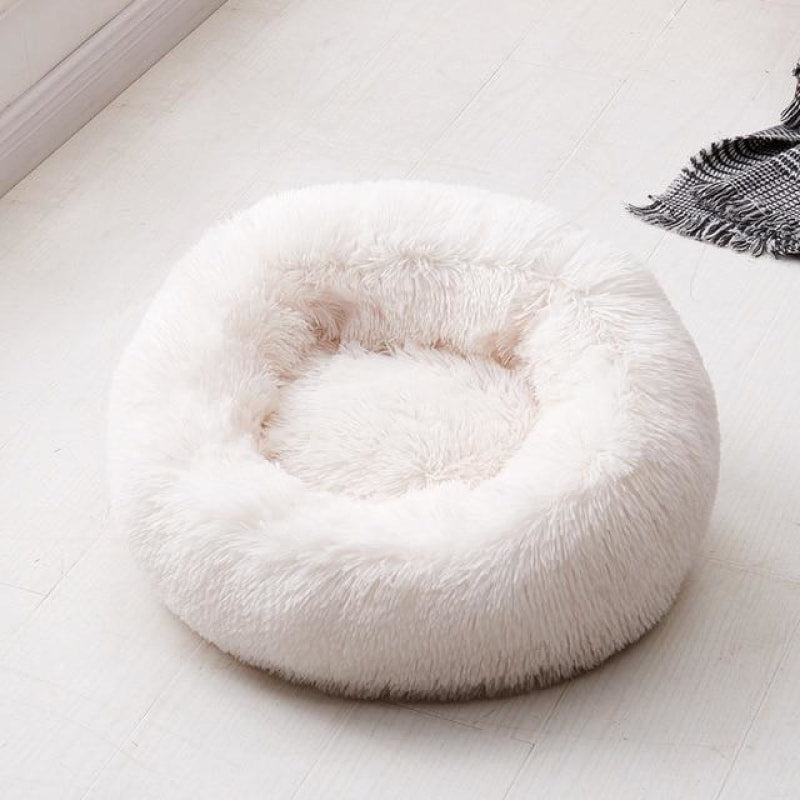 Super Soft Pet Bed - dilutee.com