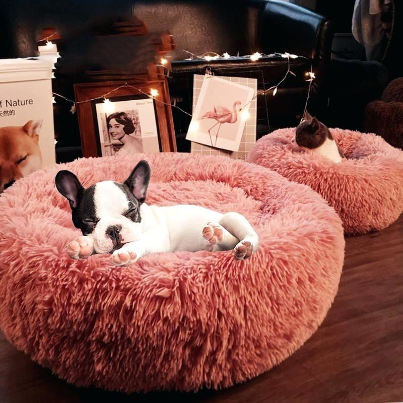 Super Soft Pet Bed - dilutee.com